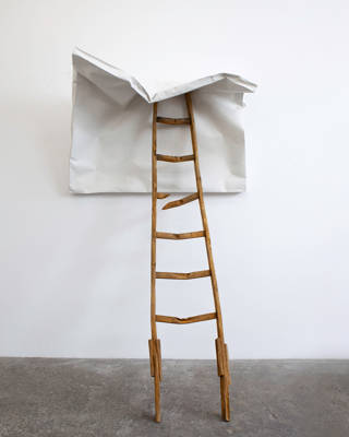 Johan de Wit, The glorious failure